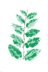 Abstract green leaves hand painted watercolour background..