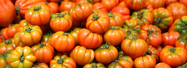 background of tomatoes