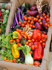 organic vegetables for sale at local market