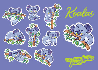 Sticker set with fun koalas in the eucalyptus. Vector illustration