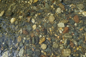 Image of the bottom of a mountain river.