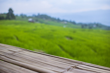 Fototapeta na wymiar The green fields. In the field of villagers in Thailand.