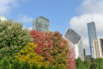 Obraz na płótnie Canvas Autumn in Chicago