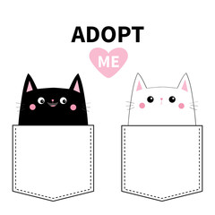 Adopt me. Black white cat set in the pocket. Cute cartoon animals. Kitten kitty character. Dash line. Pet animal collection. T-shirt design. Baby background. Isolated. Flat design