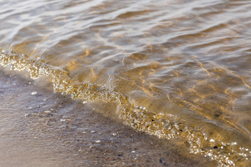 A part of the coast of the Baltic Sea