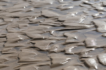 Wet sand on a beach