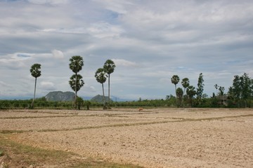 landscape in country in south Thailand-