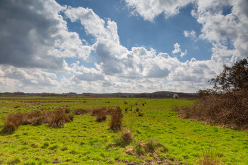 Wide landscape, green meadows and clear view are typical for Schleswig-Holstein - Holnis, Germany