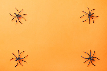 Frame of black spiders