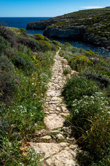 Fototapeta na wymiar peaceful path with a stone walkway in Gozo Mgarr ix xini