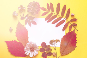 White leaf framed herbarium. Flat lay. Top view. Copy space