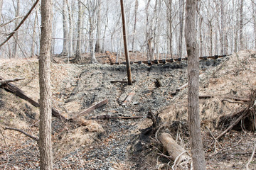 Railway Elevated in the Woods