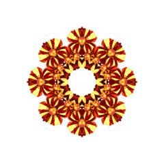 Round floral element of the framework and manually hand drawn watercolour on white background. Abstract geometric rosettes in warm autumn colors.