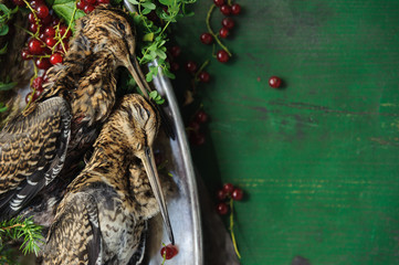 Wild hunting fowls in cooking. Two snipe or woodcock lie on metal dish. Hunting composition, outdoors. Wildfowl hunting.