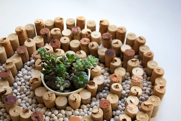 Japanese stone garden concept: wine corks spiral shaped composition with white kidney beans and...