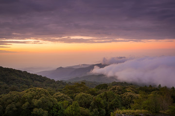 View sea of fog on the mountain at dawn in the north of Thailand