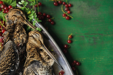 Wild hunting fowls in cooking. Two snipe or woodcock lie on metal dish. Hunting composition, outdoors. Wildfowl hunting.