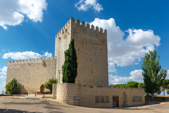 Monzon de Campos Castle in Palencia province, Spain