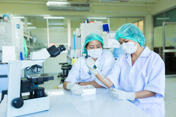 Scientists with pipette and test tube, examining samples and liquid in laboratory