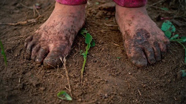 Close-up barefooted dirty feet of a child standing on a damp ground