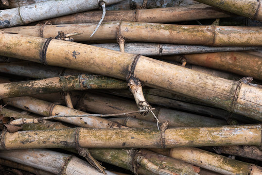 bamboo pile piece background