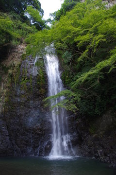 滝 © 友代 石川