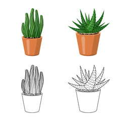 Isolated object of cactus and pot symbol. Collection of cactus and cacti vector icon for stock.