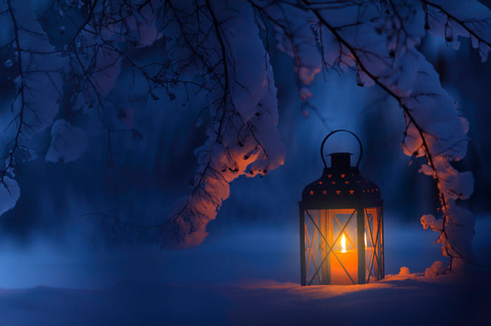 Candle lantern under the snowy branches at dusk. Christmas time in a wintery garden.
