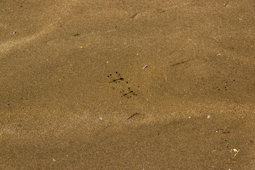 みなとまち海浜公園