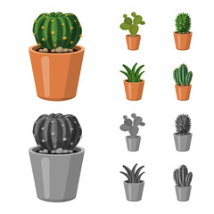Vector illustration of cactus and pot symbol. Set of cactus and cacti stock symbol for web.