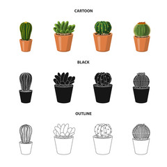 Isolated object of cactus and pot logo. Collection of cactus and cacti vector icon for stock.
