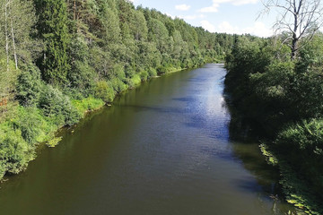 Obraz premium Aerial beautiful view of the river among the forest in sunny summer day.