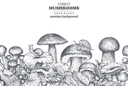 Vector seamless pattern with hand drawn forest mushrooms