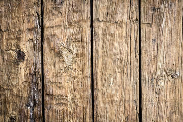 Textura madera