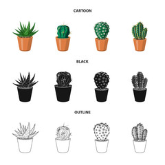 Isolated object of cactus and pot sign. Collection of cactus and cacti stock symbol for web.