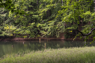 jeziorka duszatyńskie  © wedrownik52