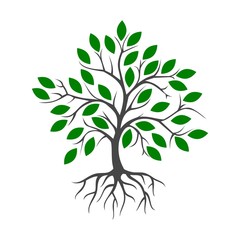 Tree and root icon