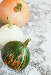 Autumn composition. Pumpkins on white background. Autumn, fall, halloween concept, copy space