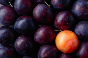 Ripe juicy plums as background.