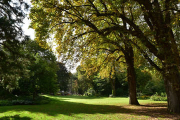 Fototapeta na wymiar Pelouse du jardin du Luxembourg à Paris, France
