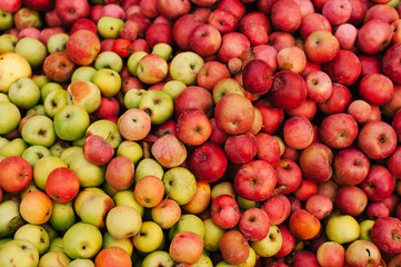red and green apples background