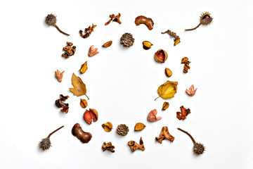 Creative pattern arrangement. Autumn composition made of dried leaves, berries and flower on white background. Flat lay, top view, copy space, empty text,mock up Inscription Autumn sale