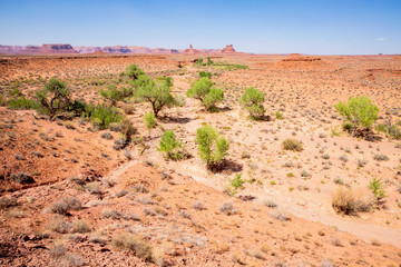 The Valley of the Gods in Navajo Nation, Utah, USA