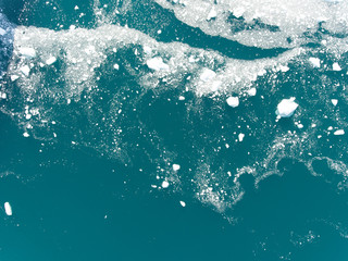 Greenland | Buckle whales