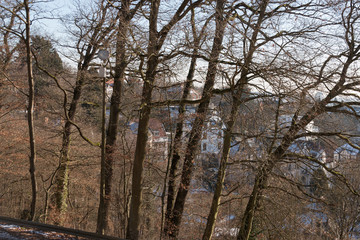 View of Houses through Trees