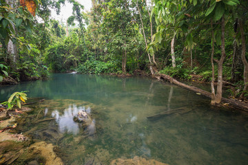 Shallow pond and lush rainforest on top of the Tat Kuang Si Waterfalls near Luang Prabang in Laos on a sunny day.