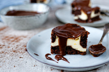 Cheesecake with chocolate cake
