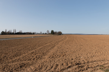 Field Ready for Planting