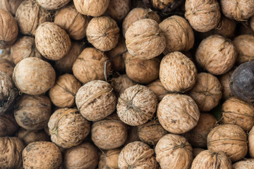 Walnut background texture