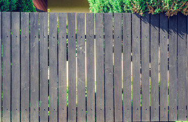 Obraz premium Wooden brown hedge with green bushes thuja at the top